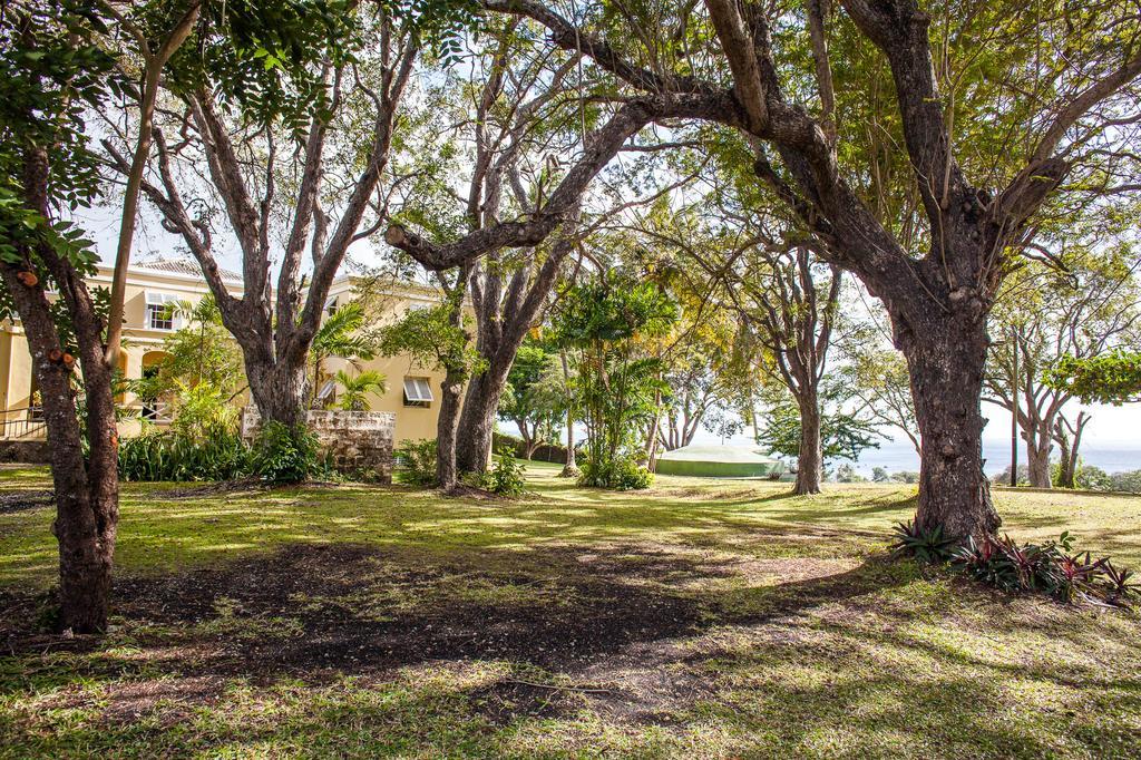 Colleton Great House Saint Peter Exterior foto